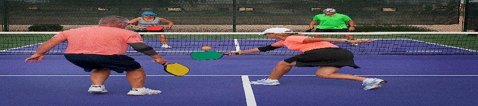 close up of palm tree shadows on pickleball court